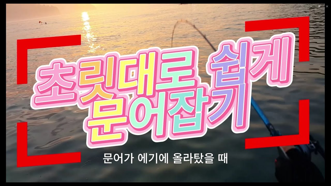 (낚시)문어라고 확신하고 잡는 방법입니다! #남해낚시 #문어낚시 #문어선상낚시 남해문어, 초릿대 낚시, 끝보기 낚시