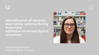 Identification of dynamic alternative splicing during mammary epithelial-to-mesenchymal transition
