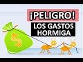 LOS PEQUEÑOS GASTOS QUE TE ROBAN EL DINERO y no te Dejan SALIR de Deudas  LOS GASTOS HORMIGA