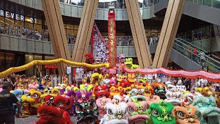 World Dragon and Lion Dance at Lalaport 2025