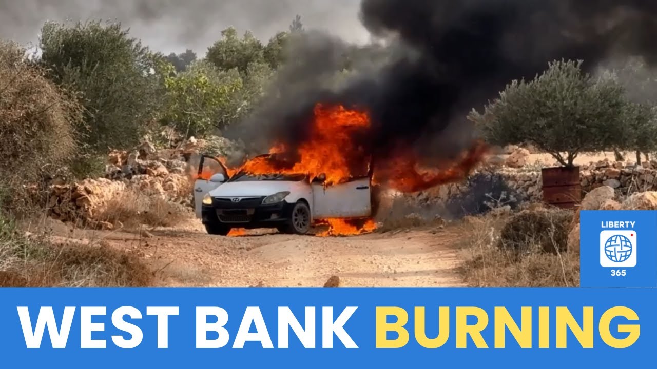 Насилие на Западном берегу: палестинские фермеры подверглись нападению со стороны израильских пос...