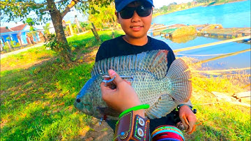 Ná Bắn CÁ - Bất ngờ bắn được cá Rô Phi đang cho ăn ở gần lồng nuôi ở sông Bồ