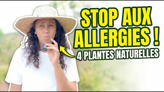 J'ai testé 4 plantes contre les allergies (Le résultat est fou !)