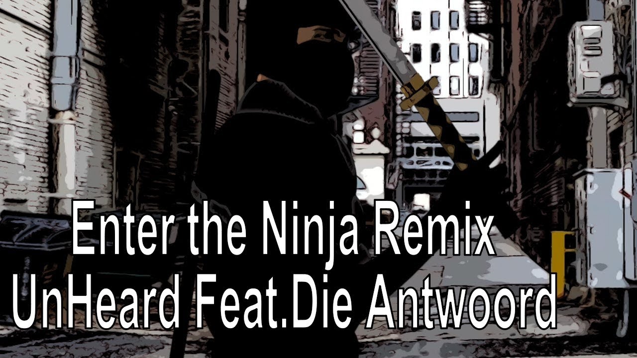 enter the ninja video