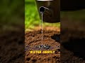 “From Soil to Harvest in 30 Seconds 🍅”