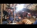 شتاوي وغناوي علم الشاعر محمد بوسته علي حال الغني 