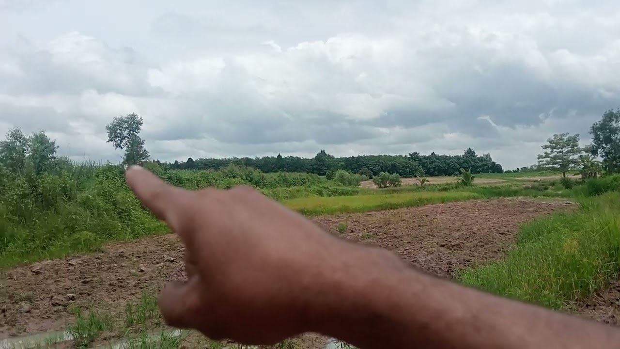 ขายที่ดิน 22 ไร่ 79 ตารางวาขายยกแปลง 3 ล้านบาทสนใจโทร 061-321 5668หรือโทร 098 007 5266ขอบคุณครับ