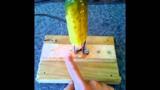 Jesse Holleran - Electric pickle