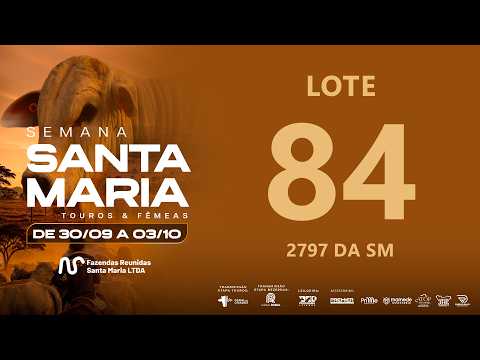 LOTE 84 FSM A2797