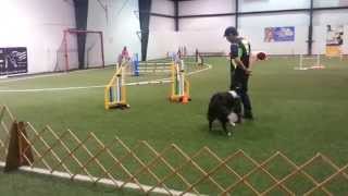 20150628 091545 SMDTC June June 2015 Ty