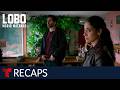 Lobo, Morir Matando, weekly recap episodes 53 to 56 | Telemundo English