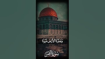 فَدَعَا رَبَّهُ أَنِّي مَغْلُوبٌ فَانتَصِرْ 10 أجمل #تلاوات  #المنشاوي  🤍🤍