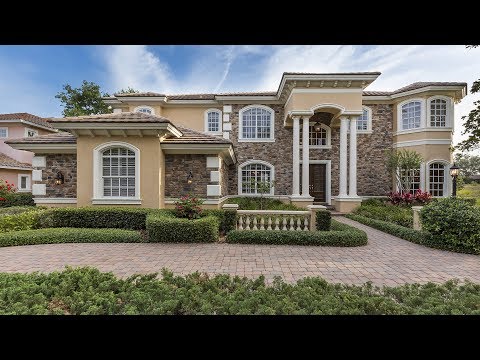 1187 Skye Ln, Palm Harbor, FL home video tour