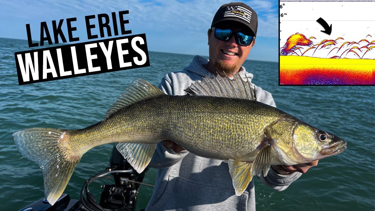 Catching BIG Lake Erie Walleyes Trolling DEEP Diving Crankbaits 