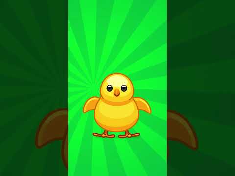 chick