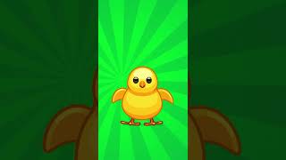 chick