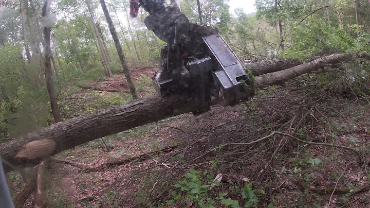 a little timbco action , Ryan's 3550 saw head !