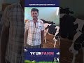கன்னுக்குட்டிக்கு குடற்புழுவை நீக்கணுமா? #dairyfarm #calf #deworm #vetdoctor #farmers #shorts