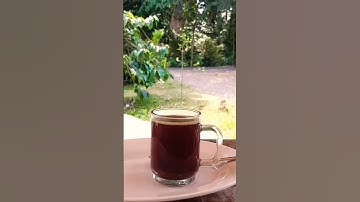 NGOPI PAGI #short #shorts #ngopi #kuningan