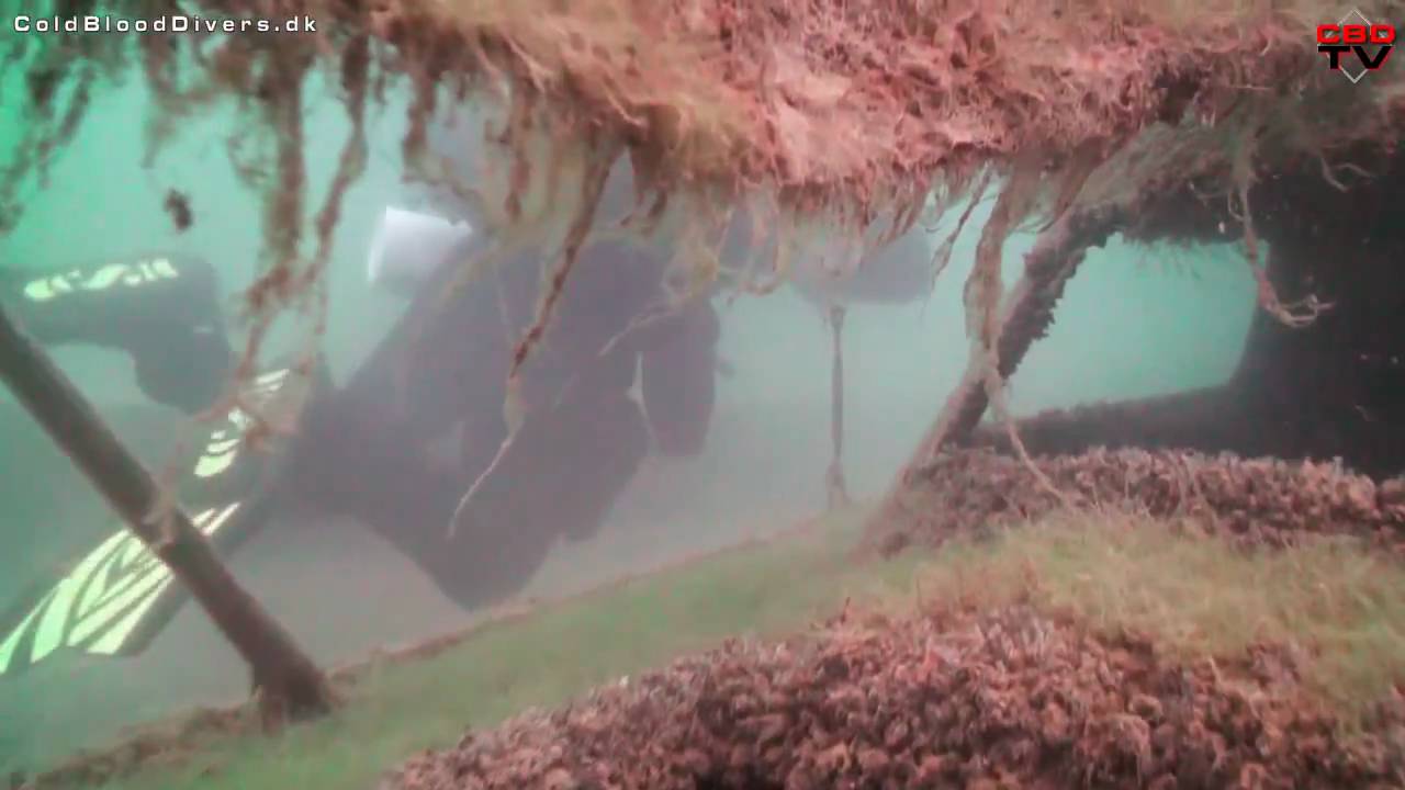 Hemmoor Kreidesee 2011 - Cold Blood Divers