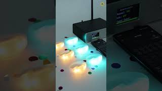 Xylobands inIndia - Delhi | Bangalore | Mumbai | Kolkata