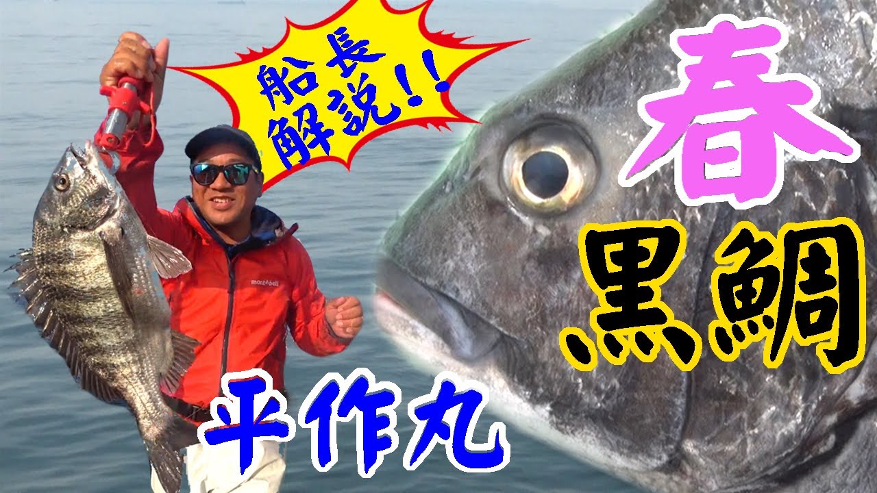 平作丸 クロダイ釣り 春 下浦沖 Youtube