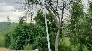 Pre Covid Travel Diaries