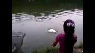 Gempak Budak Kecik Layan Memancing Ikan 10Kg