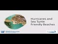 Hurricanes and Sea Turtle Friendly Beaches