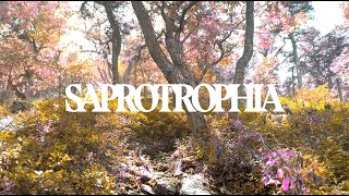Matt Evans — Saprotrophia (music video) screenshot 5