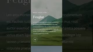 Scroll to popup Carrd plugin template