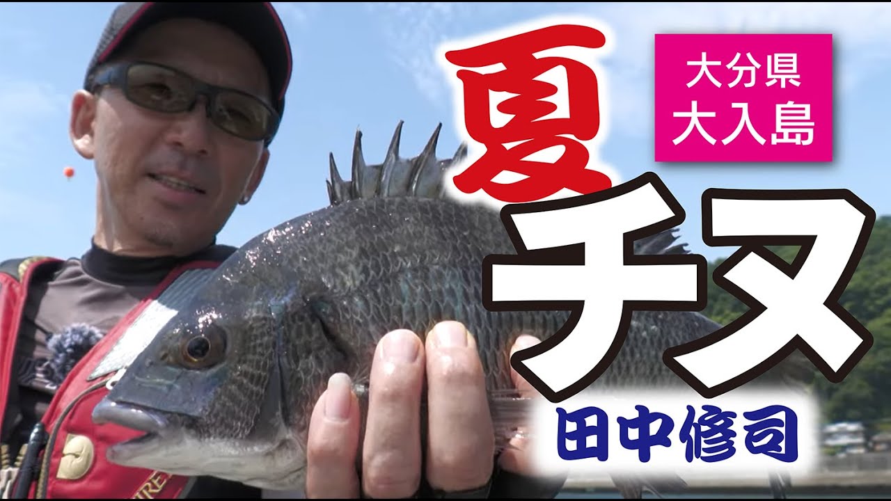 天然日本鹿　夏毛　 頭部付き 大きめ Amazon.co.jp: 風水グッズ 鹿の頭 牛の頭 壁掛け かっこいい 動物置物