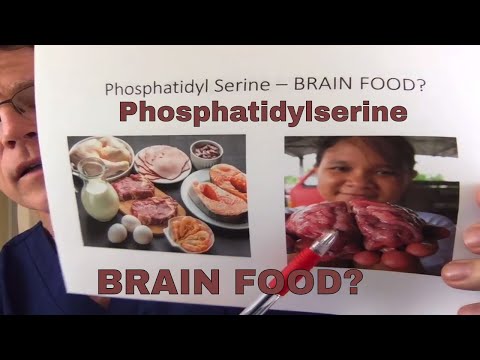 Video: Vai fosfatidilserīns satur sfingozīnu?