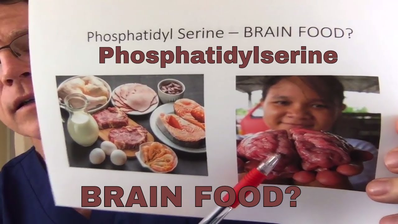 Phosphatidyl Serine Brain food, Cow's brain, or snake oil? YouTube