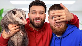 REVEALING MY PET OPOSSUM! -You Should Know Podcast- Episode 213