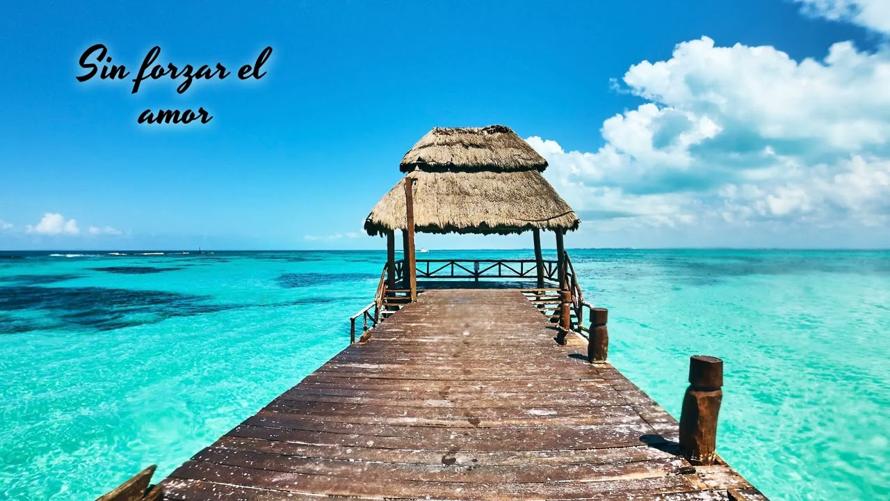 Sin forzar el amor