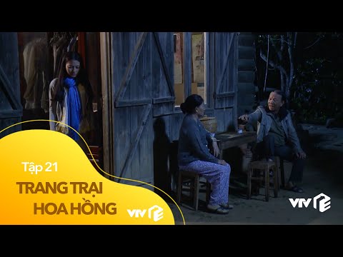 Video Trang Trại Hoa Hồng - Tập 21 | Cạn lời bố ruột ép gả... - youtube