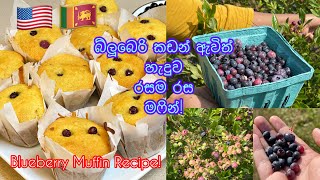 බ්ලූබෙරි මෆින් |තේ වෙලාවට කන්න රසම රස මෆින් ලේසියෙන්ම හදමු| Easy Blueberry Muffin Recipe?|