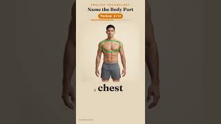 Name the Body Part! 🧍 14 Body Parts in English (2-Second Quiz) #shorts