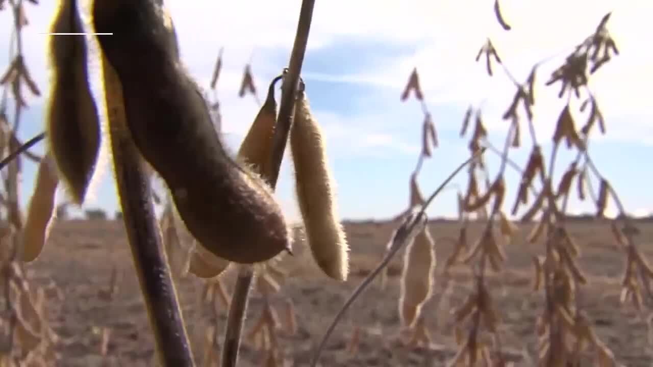 As floodwaters recede, Arkansas soybean planting moves ahead