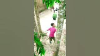 tik tok ringtone 2022