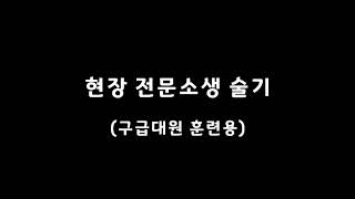 현장 전문소생술 (현장전문소생술, SALS)