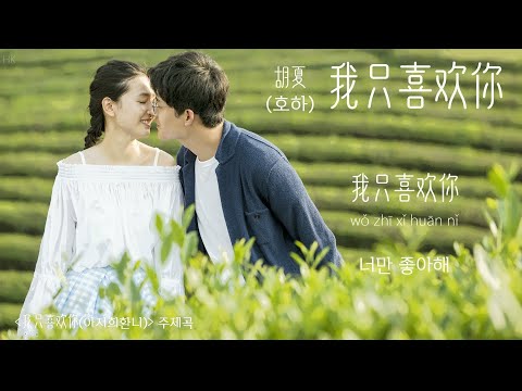 [한글자막/발음] 我只喜欢你(아지희환니)_胡夏(호하) 我只喜欢你(아지희환니) 主题曲(주제곡) Audio