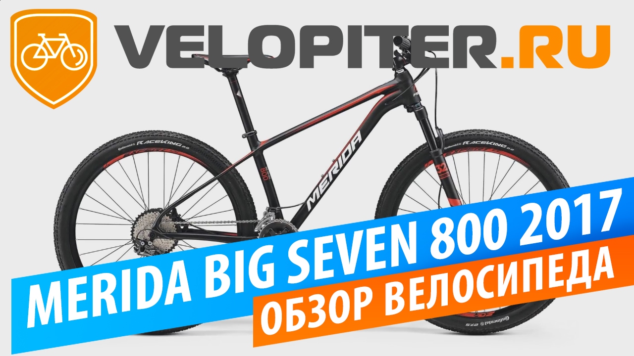 big seven 800