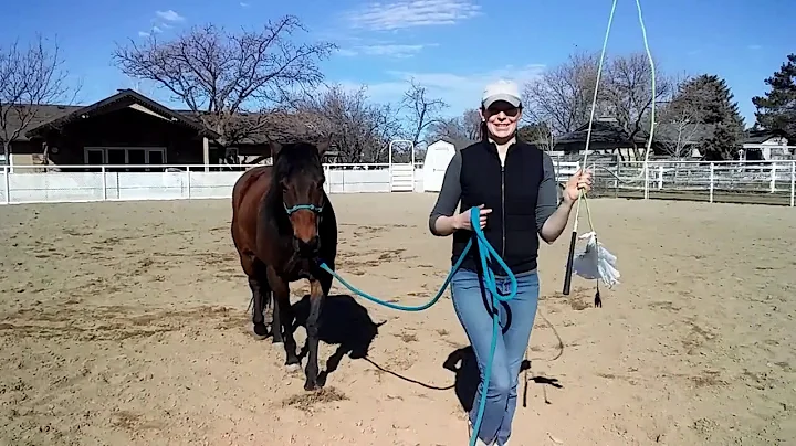 Rebekah Brackus Horseback Riding & Handling Demons...