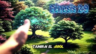 Genesis 2:9 #biblia #amor #reflexion 