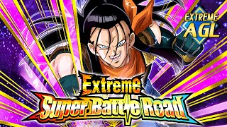 Extreme Agl Extreme Super Battle Road Vs Super Str Beaten? - Dbz Dokkan Battle