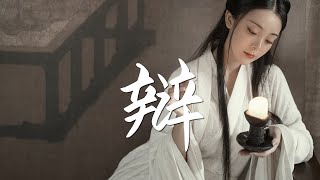 Video thumbnail of "音频怪物&汐音社 - 辩【古风推荐】『动态歌词 / 完整高清音质 一首超好听的古风歌曲』Yin Pin Guai Wu & Xi Yin She - Debate"