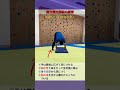 【マット】側方倒立回転(側転)の練習 川渡り(足のつき方)