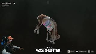 Muflon, jeleni, lisac - Way of the Hunter | Story Mode | Acer Pedator Helios NEO 16 AI